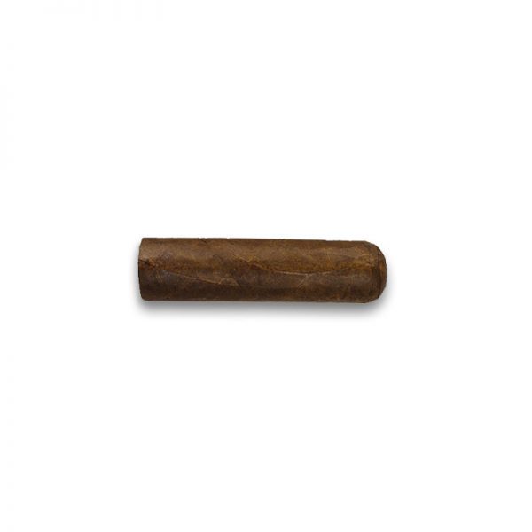 Farm Rolled Aged Short Robusto (20) - CigarExport