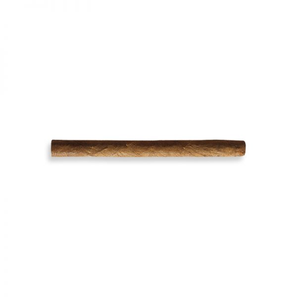 Partagas Mini 10 (10x10) - CigarExport