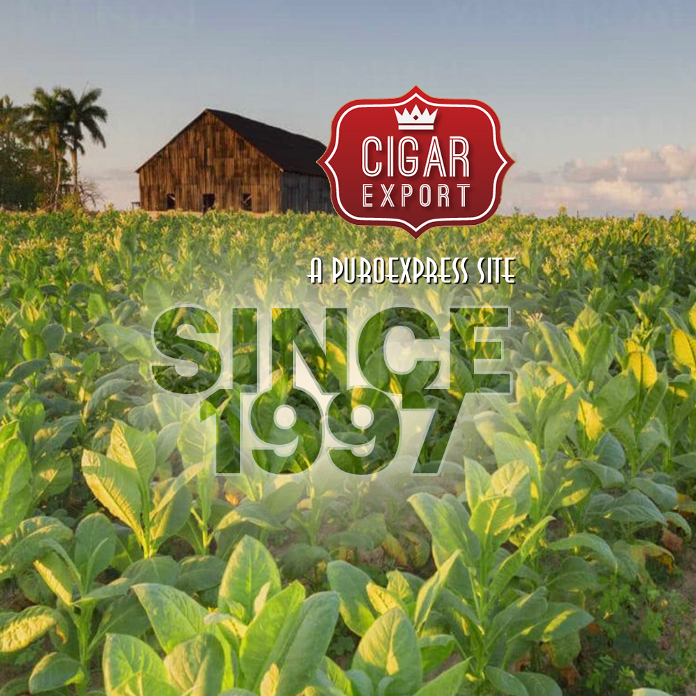 Cigar Export Cuban Cigars